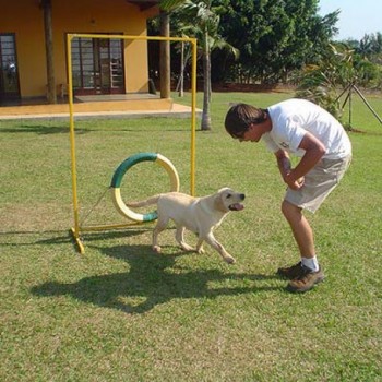 Adestrador de Cães